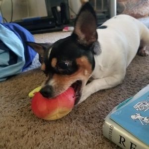 Meet your Posher, Samantha